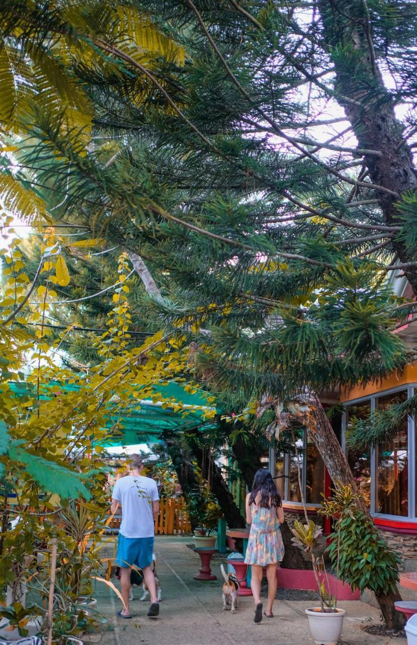 Deep Forest Garden