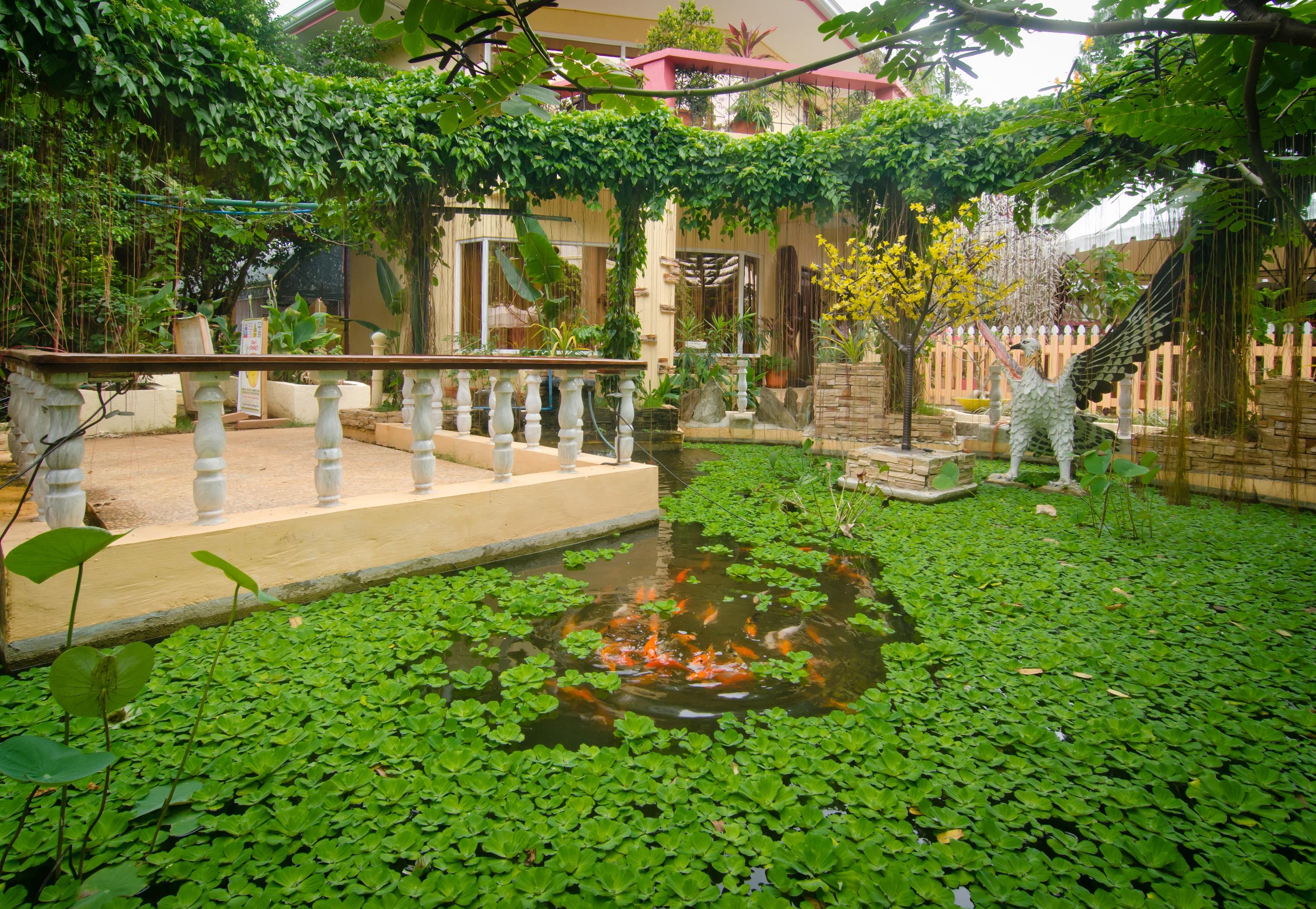 Hotel Deep Forest Garden 3*